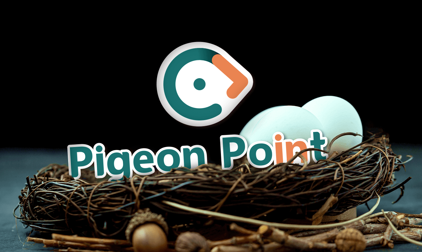 Pigeon point